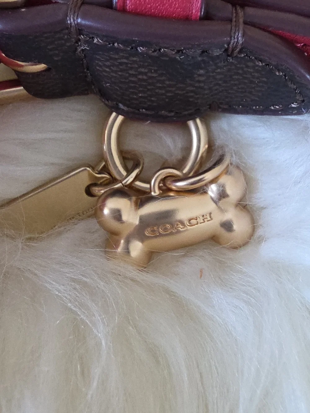 Adorable NWT IOB Coach Brown Signature Small Dog Collar 🤎🍖🖤🐕♥️🐾🎁
